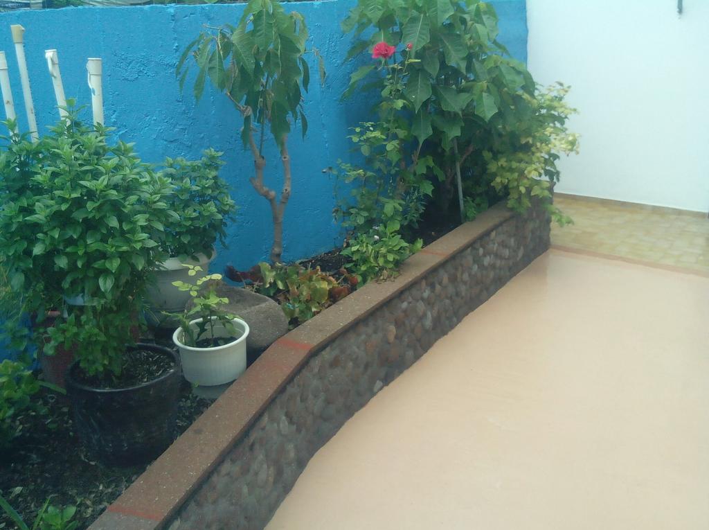 Pension Gina Methana Exterior photo